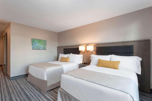 Wyndham Garden LaGuardia South image 12